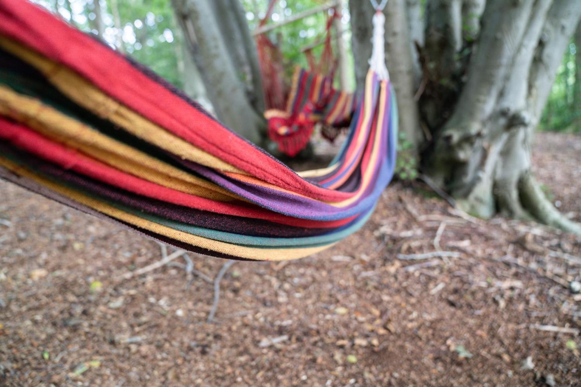 Gite 9 Personnes Fecamp Etretat Colleville 外观 照片